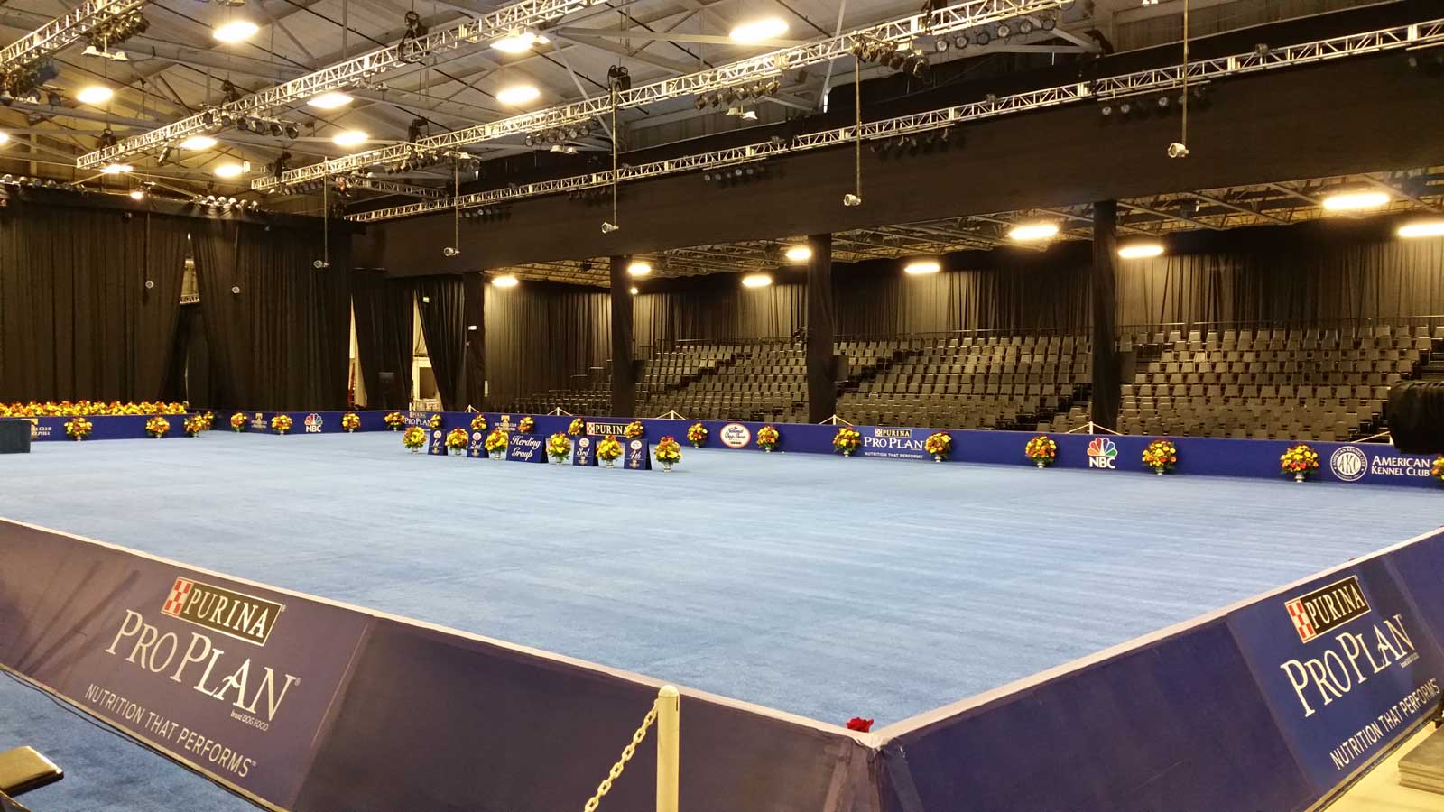 PM1 Premium Audience Risers
