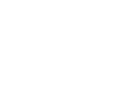 PM1_wordmark_white_S